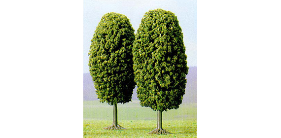 2 Alberi