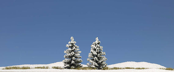 Alberi innevati