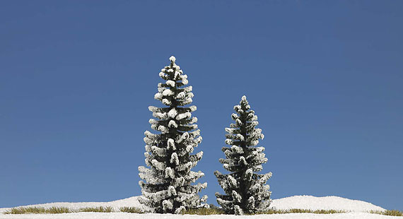 2 Alberi innevati