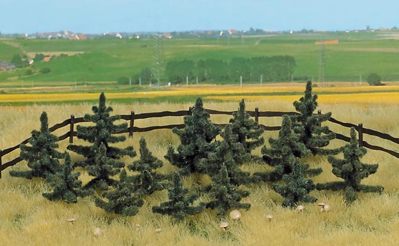 SET 25 ALBERI + FUNGHI