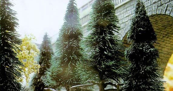 6 ALBERI con base