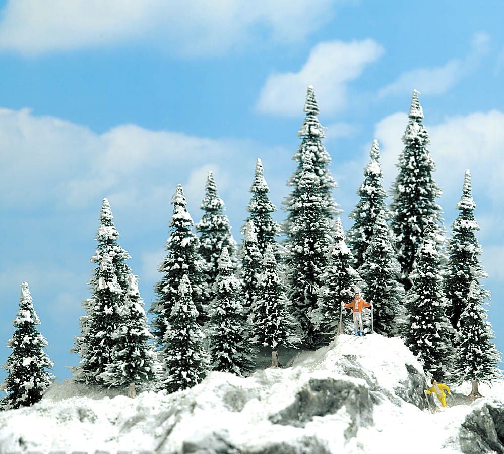 20 Abeti con la neve