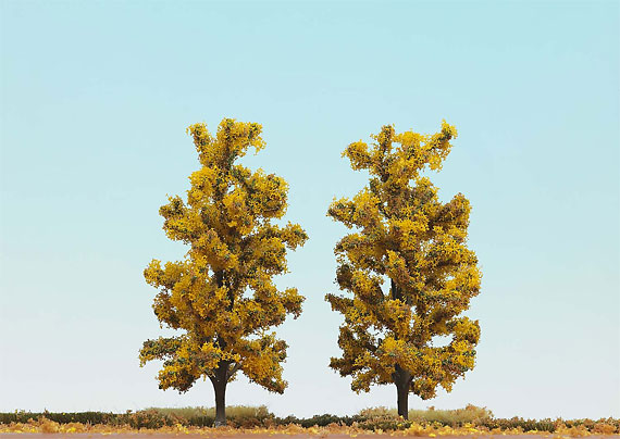 Alberi a foglie caduche in autunno