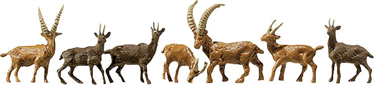 Camosci e stambecchi