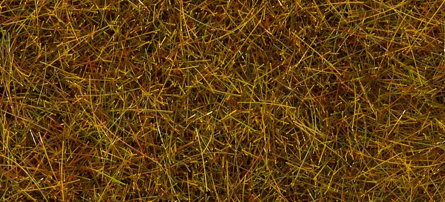 Fibre prato autunnale