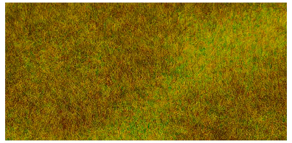 PREMIUM  segment Prato verde scuro