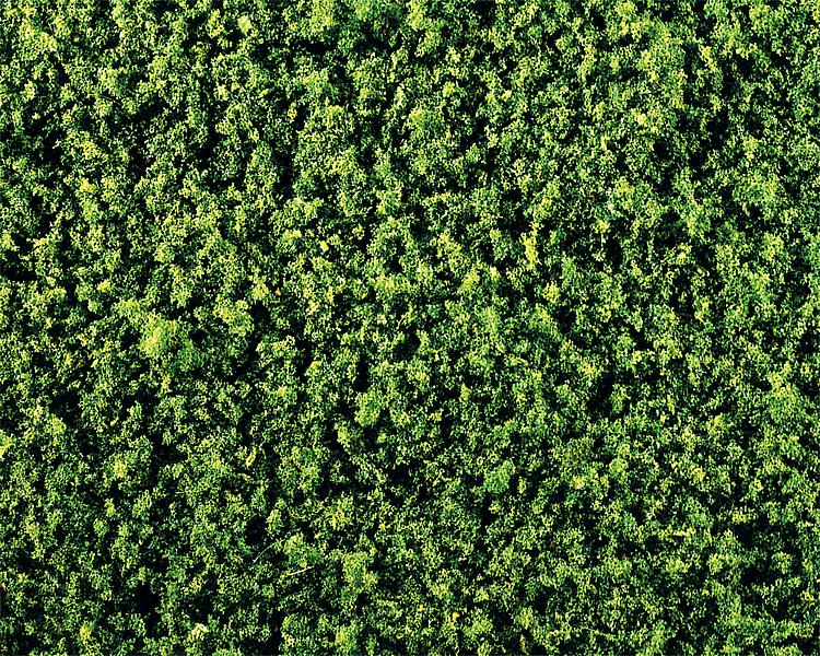 Fogliame, verde medio