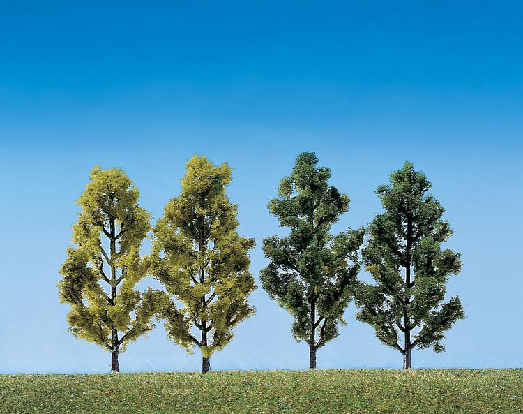 2 Betulle + 2 Pioppi