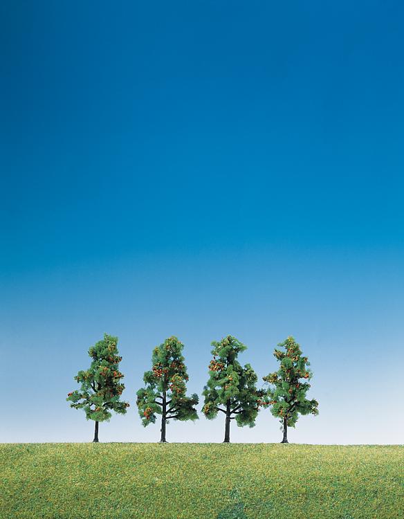 4 alberi da frutto