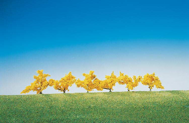 6 Alberelli, giallo fiorito