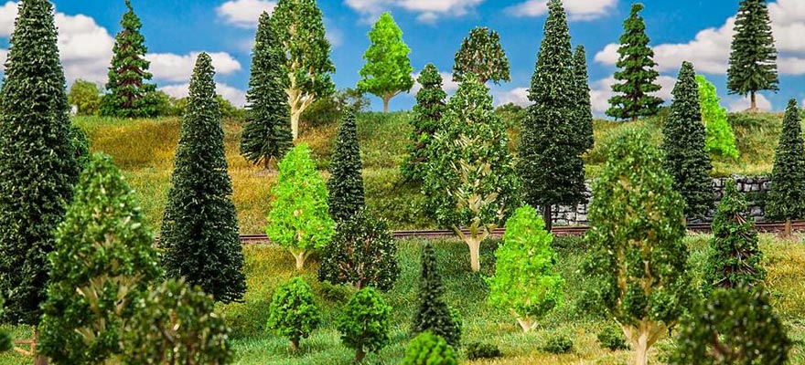 25 Alberi
