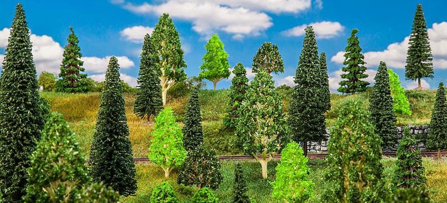 50 alberi misti foresta
