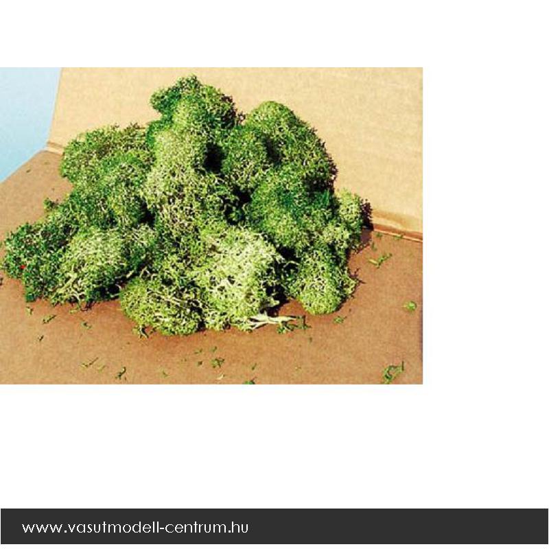 Lichene misto verde e grigio 30 g