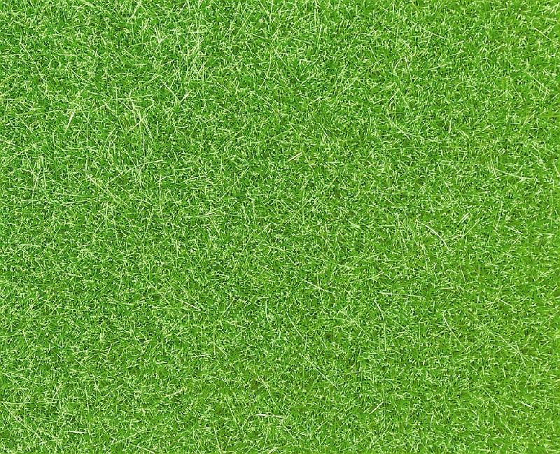 Erba Wild Grass verde chiaro, 50 g