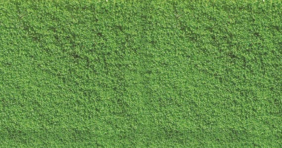 Fogliame verde chiaro 30gr