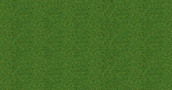 Erba ornamentale 1.5mm