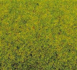 ERBA PRIMAVERILE  20 GRAMMI