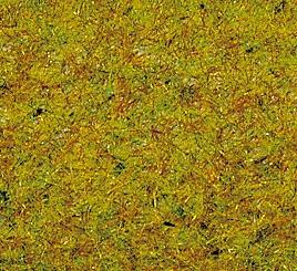 Erba Estiva 20 g