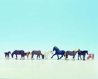 Cavalli