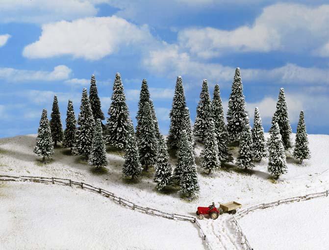 25 Abeti con la neve