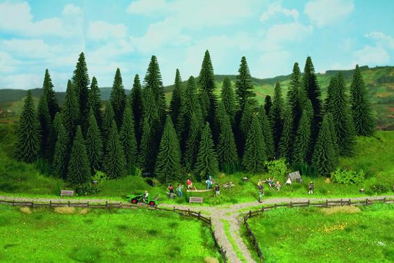 25 alberi abete con perno