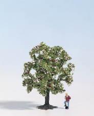Albero da frutta  Rosa #