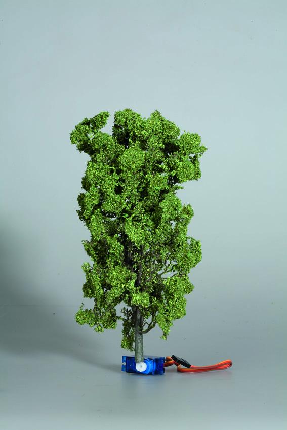 Albero di Tiglio che cade digitale, 19 cm