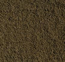 POLVERE OLIVA X PRATO 50 GR-