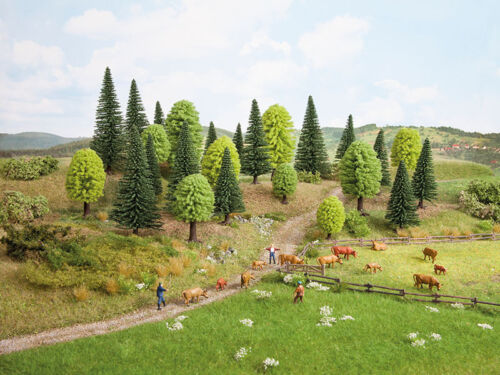25 Alberi misti foresta