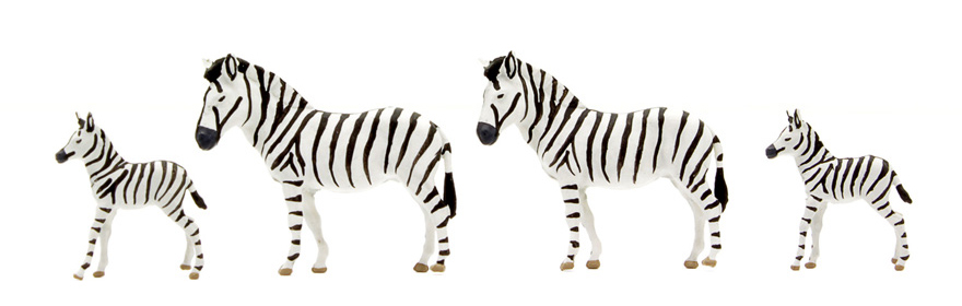 4 ZEBRE