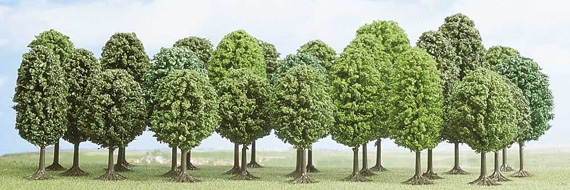 ASSORTIMENTO 25 ALBERI   N