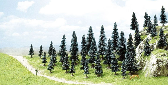 35 ALBERI   N � Z