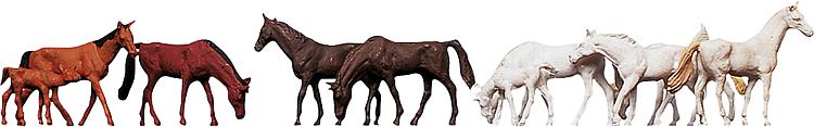 Cavalli