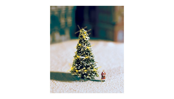 ABETE ILLUMINATO CON BABBO N.