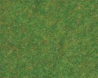 Vedi Scheda Faller 170726 - Fibra da spargere, 35 g, verde scuro Faller - Scala  H0 TT N Z 