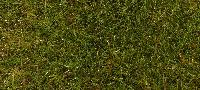 Vedi Scheda Faller 170771 - Fibre primavera prato Faller - Scala  H0 TT N Z 