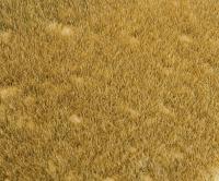 Vedi Scheda Faller 180465 - Segmento paesaggio PREMIUM , Prato selvatico Faller - Scala  H0 TT N 