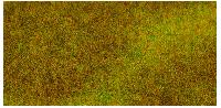 Vedi Scheda Faller 180489 - PREMIUM  segment Prato verde scuro Faller - Scala  H0 