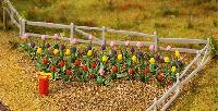 Vedi Scheda Faller 181262 - 36 tulipani colorati Faller - Scala  H0 