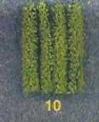 Vedi Scheda Jordan 010 - 4 PZ, SIEPE VERDE DIAM,1 CM, Jordan - Scala  H0 