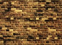 Vedi Scheda Noch 57570 - Muro in pietra arenaria, 32 x 15 cm Noch - Scala  H0 TT 